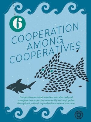 co-op-principles-6